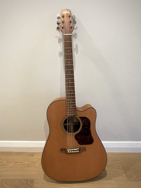 Walden Acoustic Electric Guitar - D550ce63001431816577111