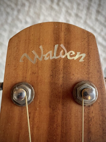 Walden Acoustic Electric Guitar - D550ce63001431816577113