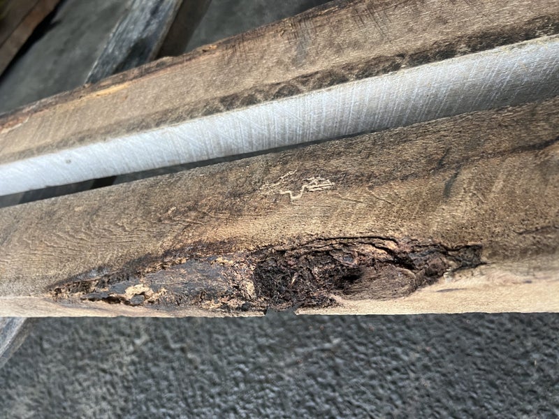Black Maire Timber – 5.15 m Total (2 Pieces: 100x52 mm)63003411573379114