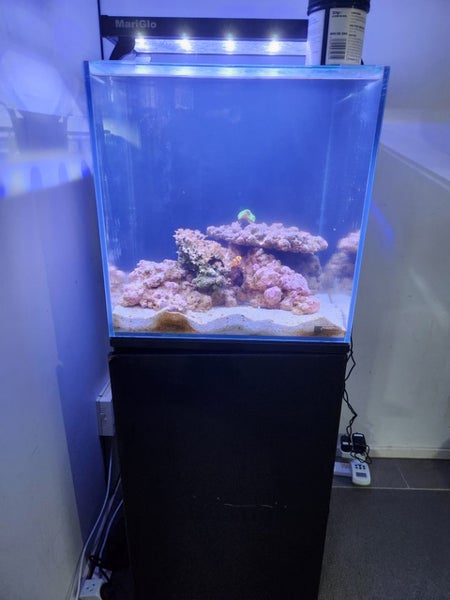 Aqua one mini reef 90 Carousel 1