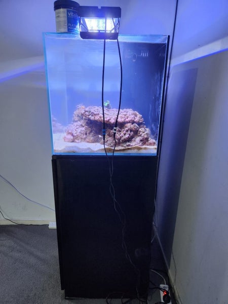 Aqua one mini reef 90 Carousel 2