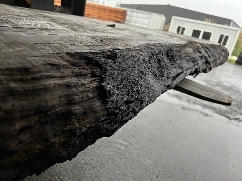 Rata Timber Slab – 305cm Rare NZ Native Hardwood63004033662466113
