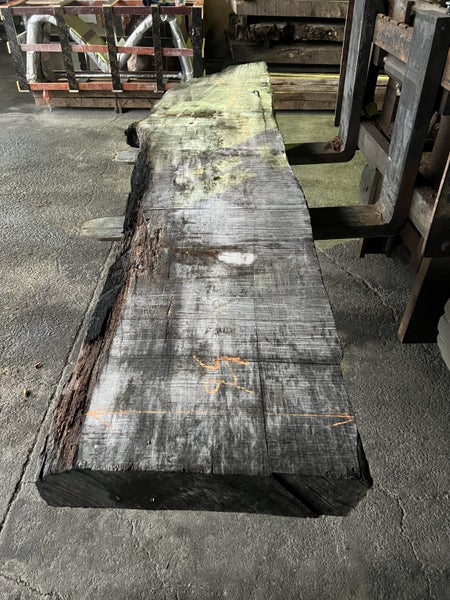 Rata Timber Slab – 305cm Rare NZ Native Hardwood63004033662466114