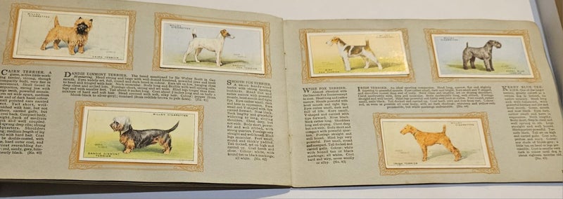 Full set (50)1937 WD HO Wills Dogs in album Carousel 11