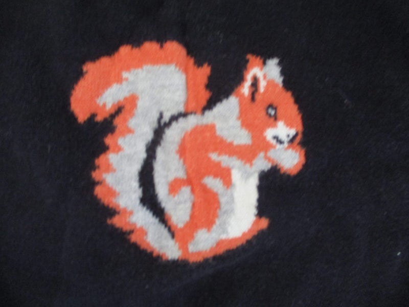 Plum navy squirrel l/s jersey Carousel 2