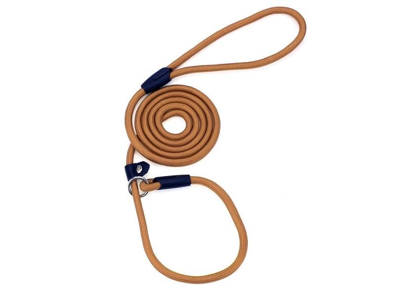 Dog Leash Dog Lead Carousel 1