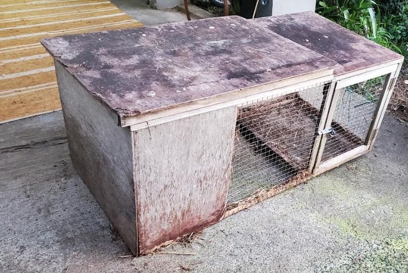 Guinea pig hutch - FREE Carousel 1