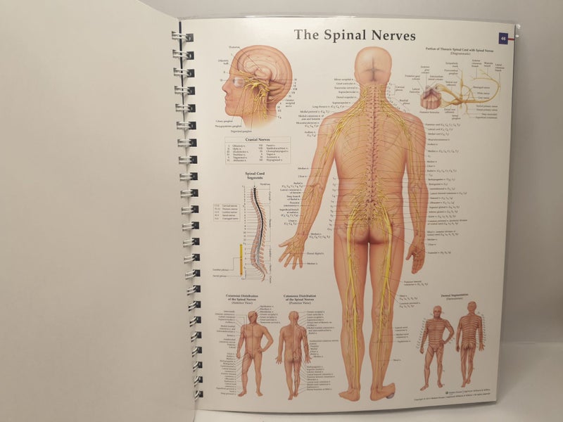 Systems and Structures 3rd Edition: The World's Best Anatomical Charts - 2014 Carousel 11