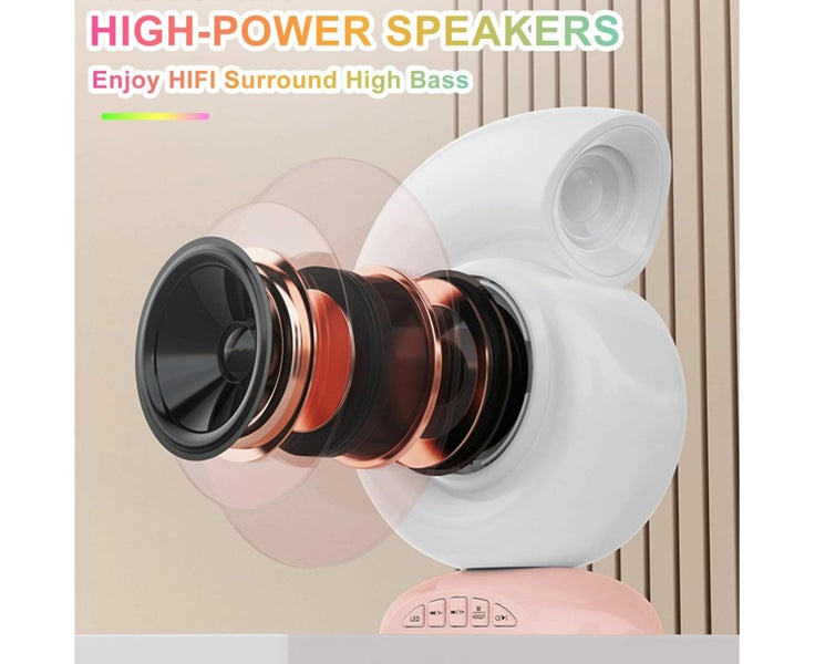 Mini Karaoke Machine for Kids,Portable Bluetooth Speaker with 2 Wireless Micr Carousel 2
