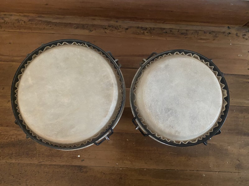 Bongo drums brand new Carousel 3