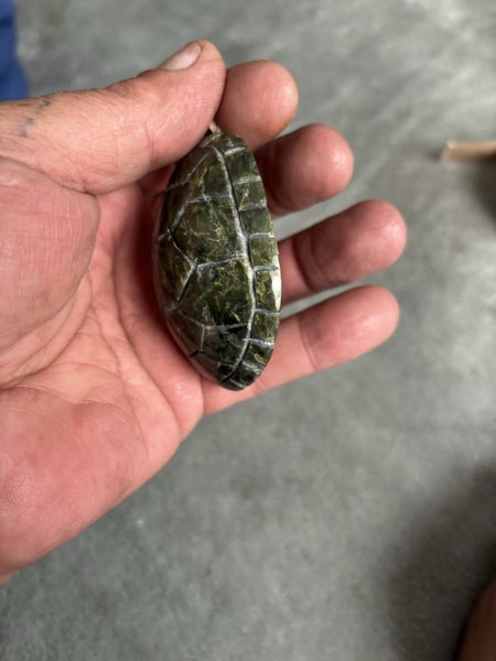 Pounamu turtle shell Carousel 2