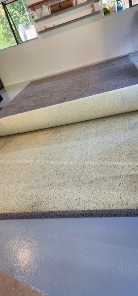 Rug large and lush, Blue Grey 5x3m Carousel 5