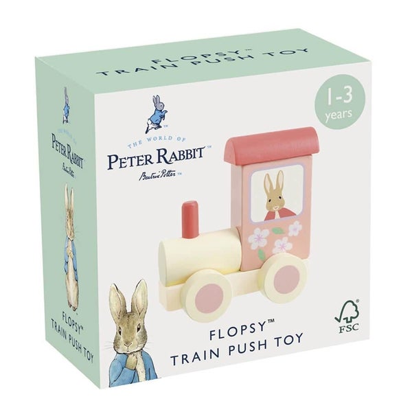 Flopsy Wooden Train Push Toy Carousel 1