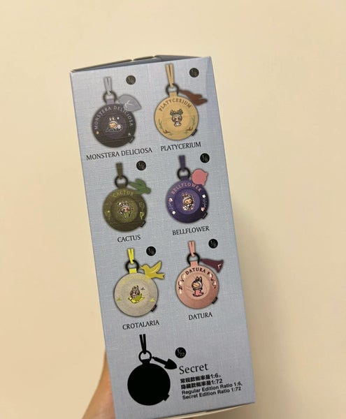 Popmart Labubu Bucket Hat Mini Bag Blind Box Carousel 2