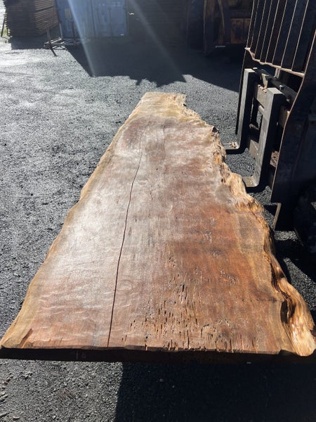 Large Solid Totara Wood Slab – Rare NZ Native Timber Carousel 1