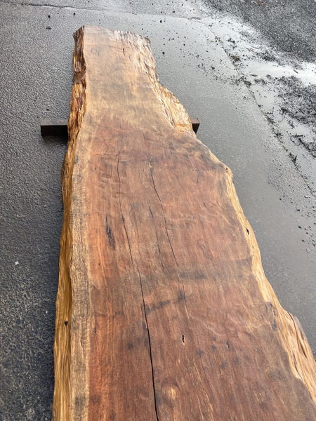 Large Solid Totara Wood Slab – Rare NZ Native Timber Carousel 2