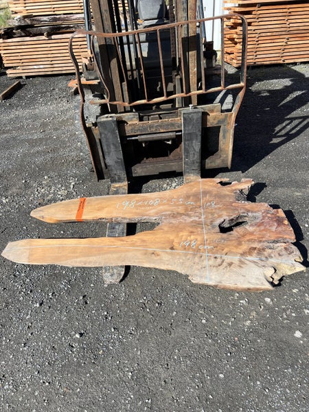 Solid Red Beech Stump Slab – 198 × 108 × 5.5 cm Carousel 1