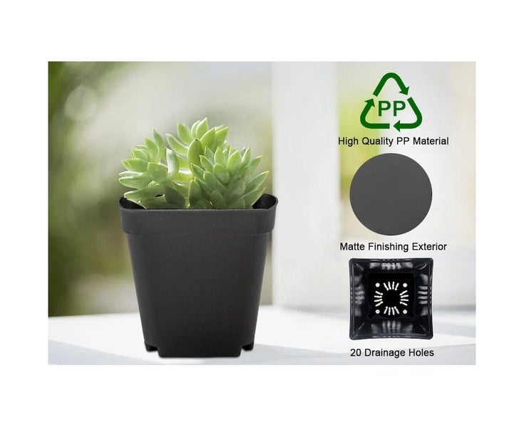 Plastic Plant Flower Pots Nursery Seedlings Garden Plant Pot Container 100PCS Carousel 2