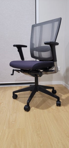 Eden Cloud Ergo Mesh Ergonomic Office Chair (2019 Model) Carousel 1