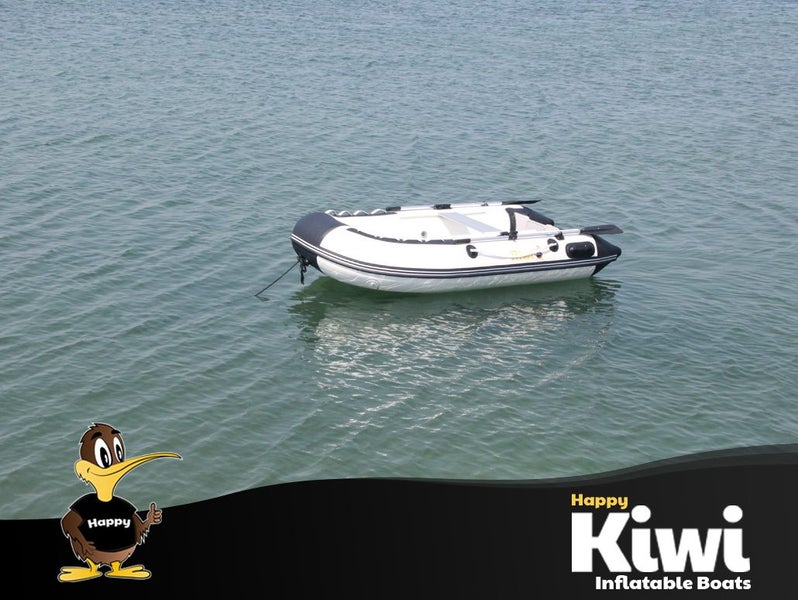 Inflatable BD220 - WELDED SEAMS Carousel 2