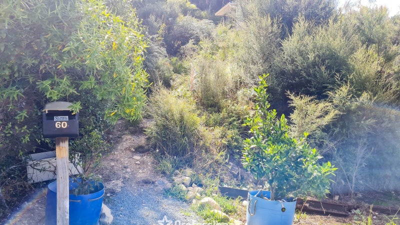 Image 3 of 7