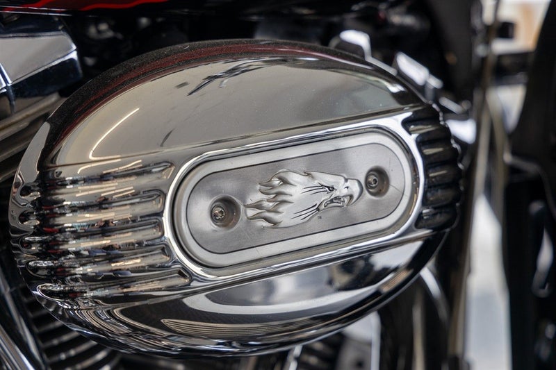 Harley-Davidson Screaming Eagle - Ultraglide 200663612535070083113