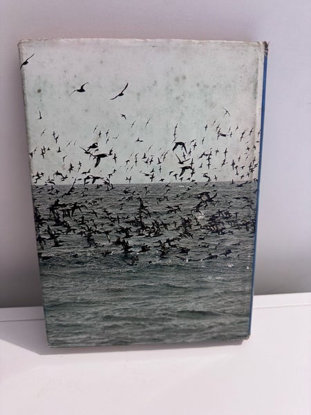 Titi Heritage - The Story of the Muttonbird Islands by Eva Wilson Carousel 2