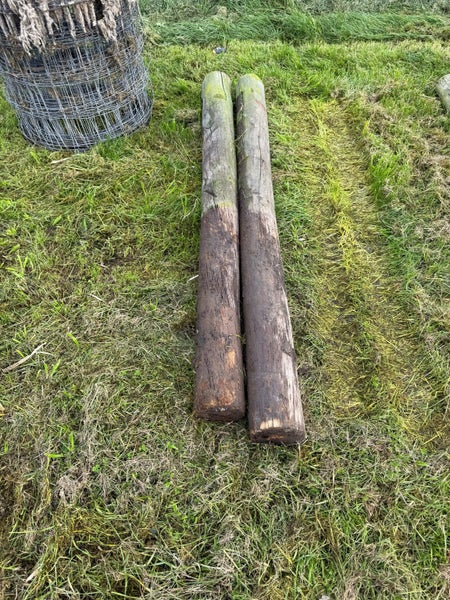 Tanalised 1.9 m No 1 Pine Posts Carousel 2