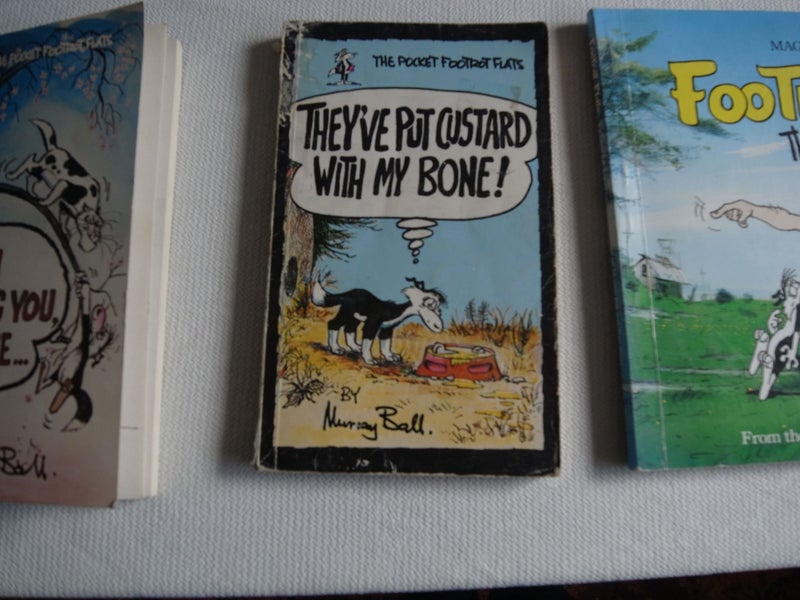 They've Put Custard With My Bone Murray Ball The Pocket Footrot Flats Carousel 1