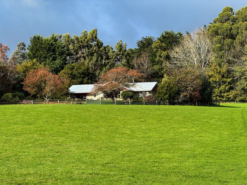 Image 2 of 14
