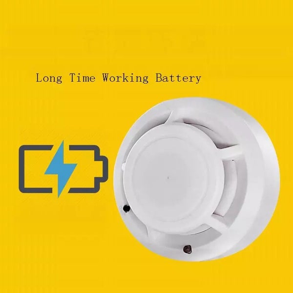 New Spy Camera fire alarm - New Carousel 2