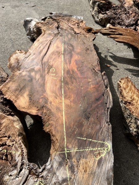 Swamp Kauri Matched Small Stump Slabs – Set of 5 Carousel 2