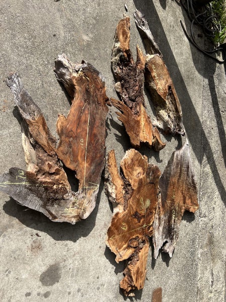 Swamp Kauri Matched Small Stump Slabs – Set of 5 Carousel 1