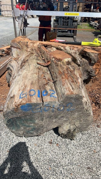 Swamp Kauri Matched Small Stump Slabs – Set of 5 Carousel 15