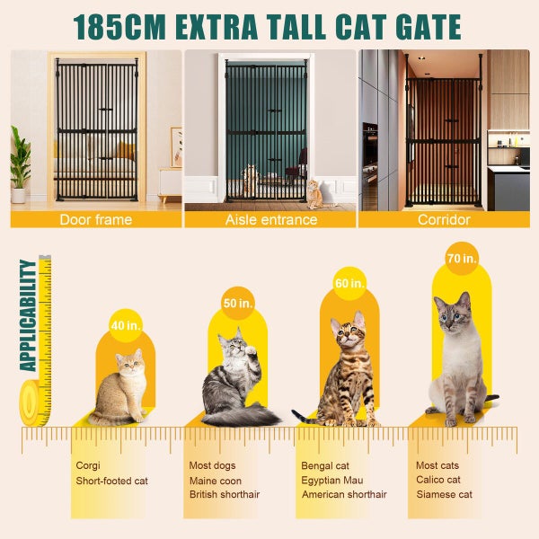 Safety Gate Carousel 2