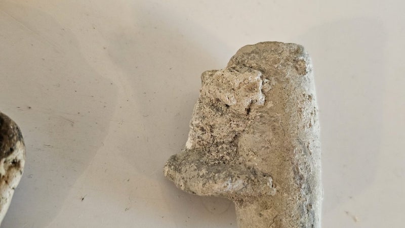 ANTIQUE ESTATE FOSSIL ITEMS Carousel 20