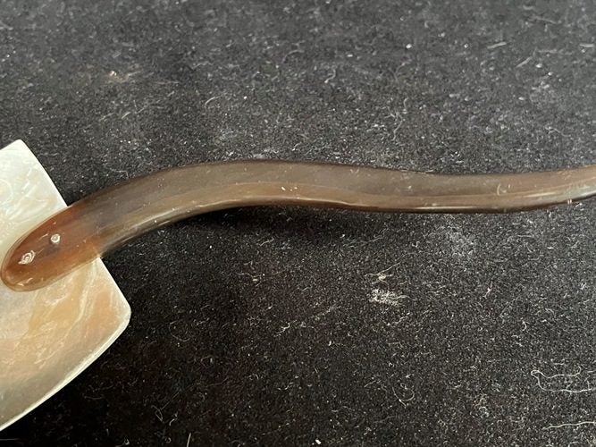 Vintage Mother Of Pearl Shell And Horn Spoon Carousel 7
