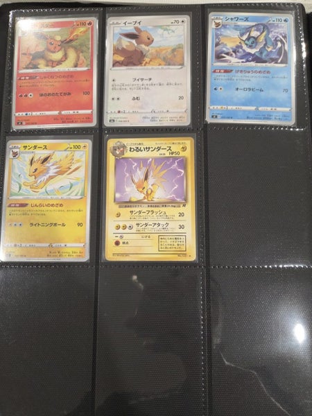Pokemon cards - Japanese bulk Carousel 17