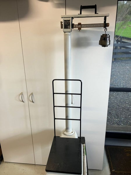 Vintage scales “Wellington Scale Co” Carousel 1