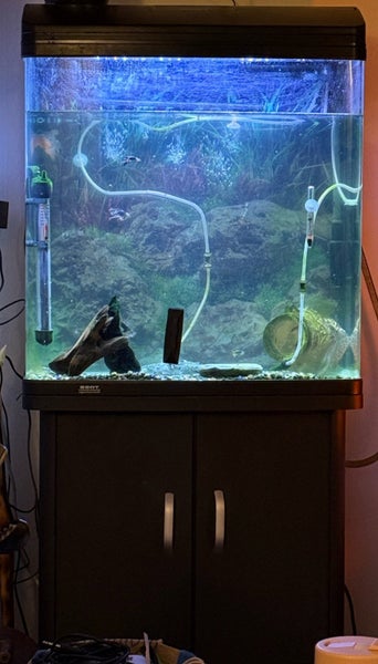 Beautiful fish tank aquarium Carousel 1