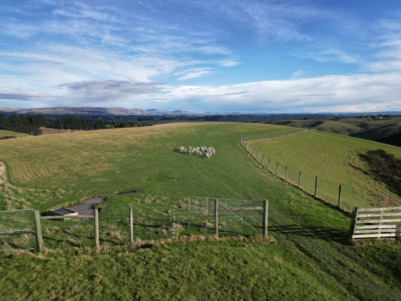 Velvet production unit with options63613268550786113