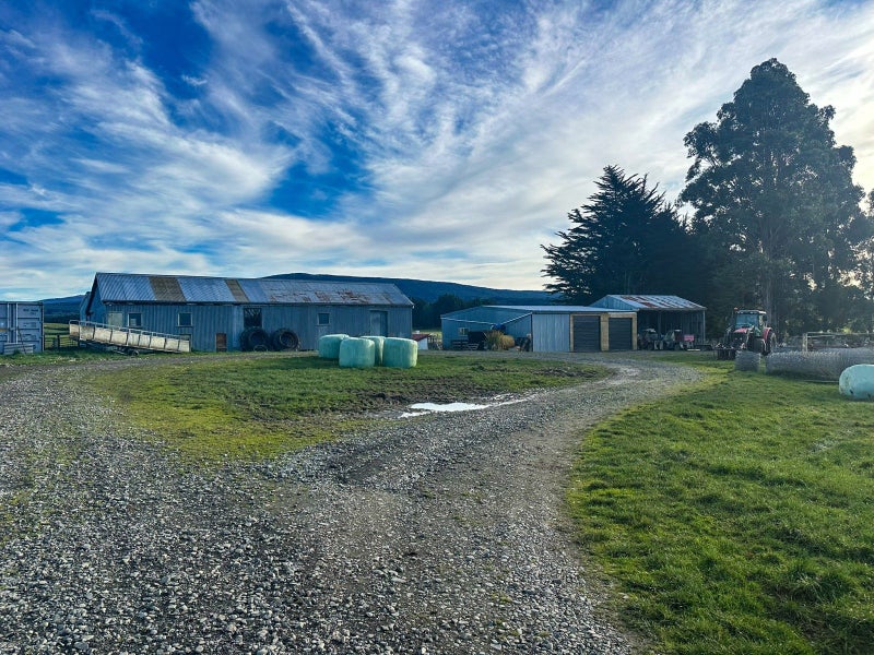 Image 2 of 16