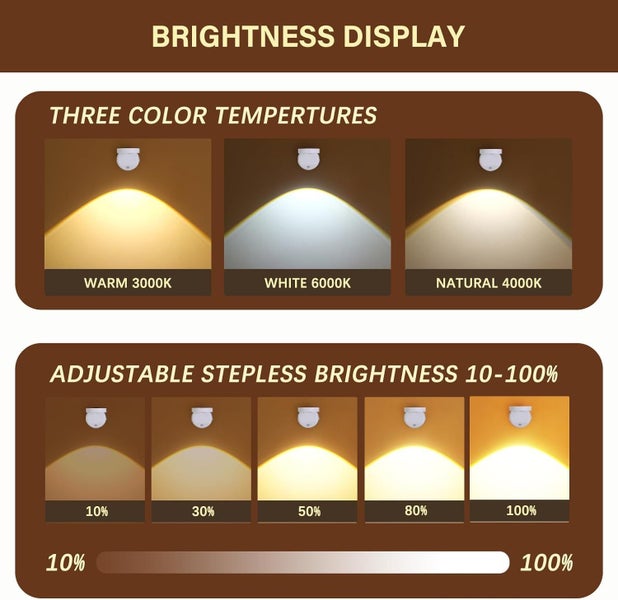 Night Light Carousel 2