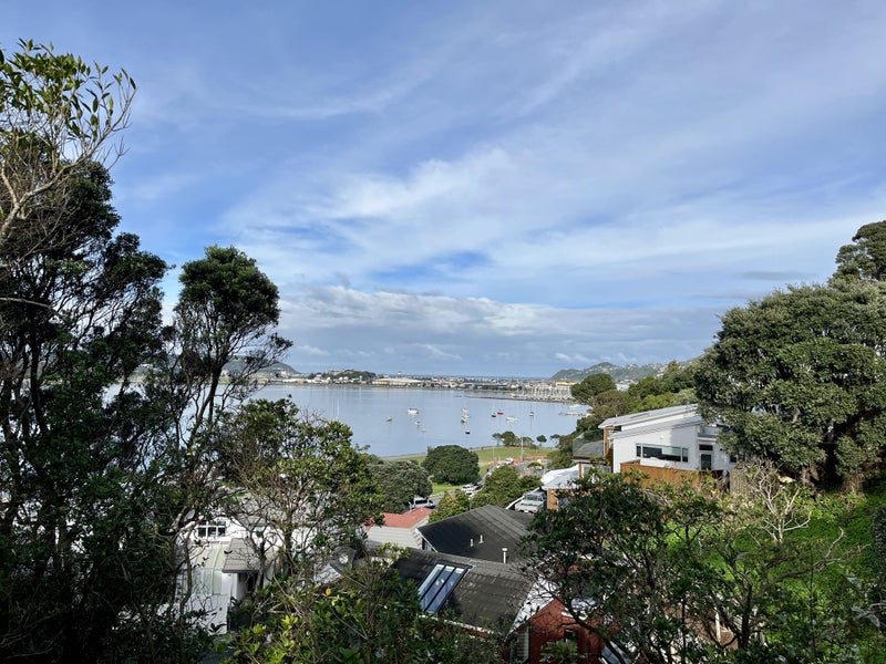 Image 1 of 13
