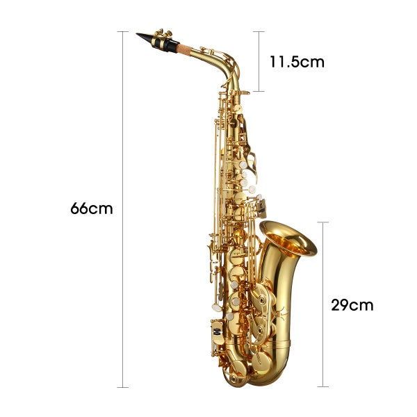 Melodic Saxophone Sax Eb Be Alto E Flat Brass w/ Mouthpiece for Student Beginner Carousel 2