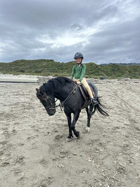 Cool Pony63613496539138114