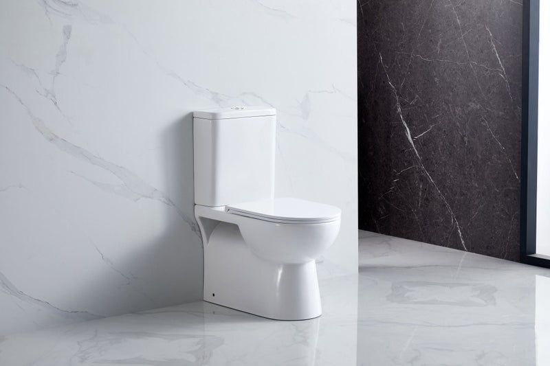 High Quality Ceramic Back to Wall Rimless Toilet Carousel 1