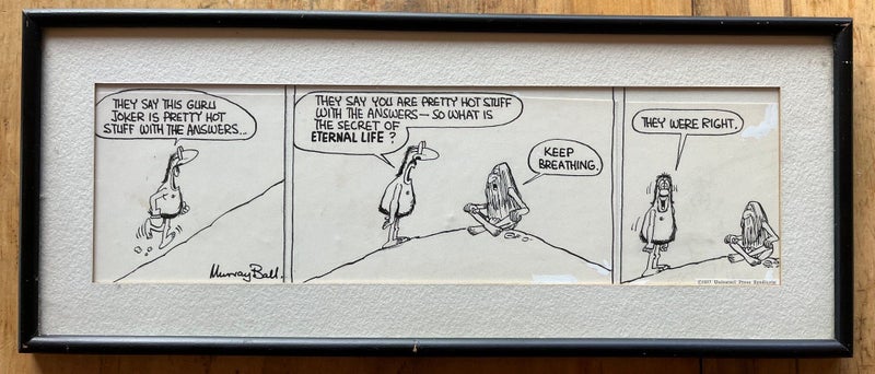 Original Stanley Cartoon by Murray Ball Carousel 1