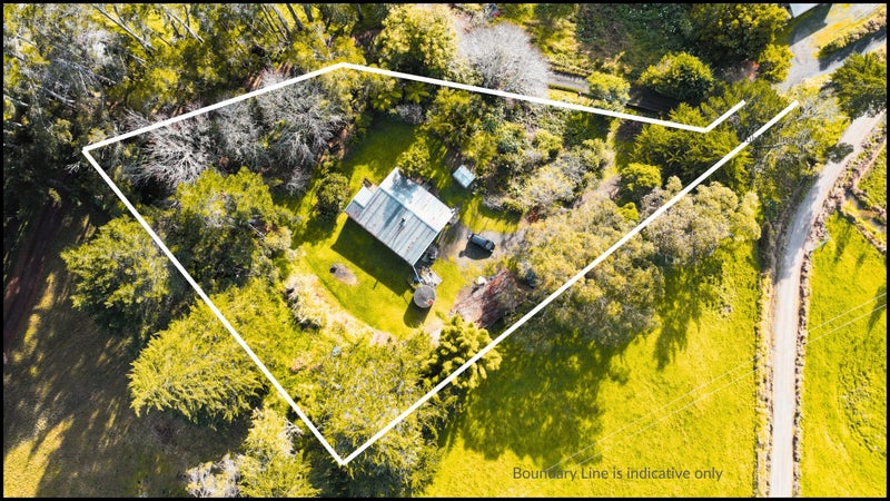 Image 1 of 14