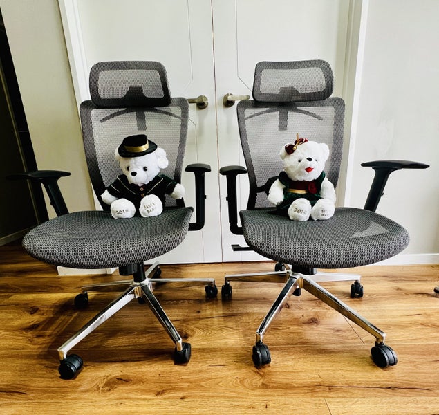 For Sale: Loctek YZ101 Ergonomic Office Chair – Excellent Condition Carousel 1